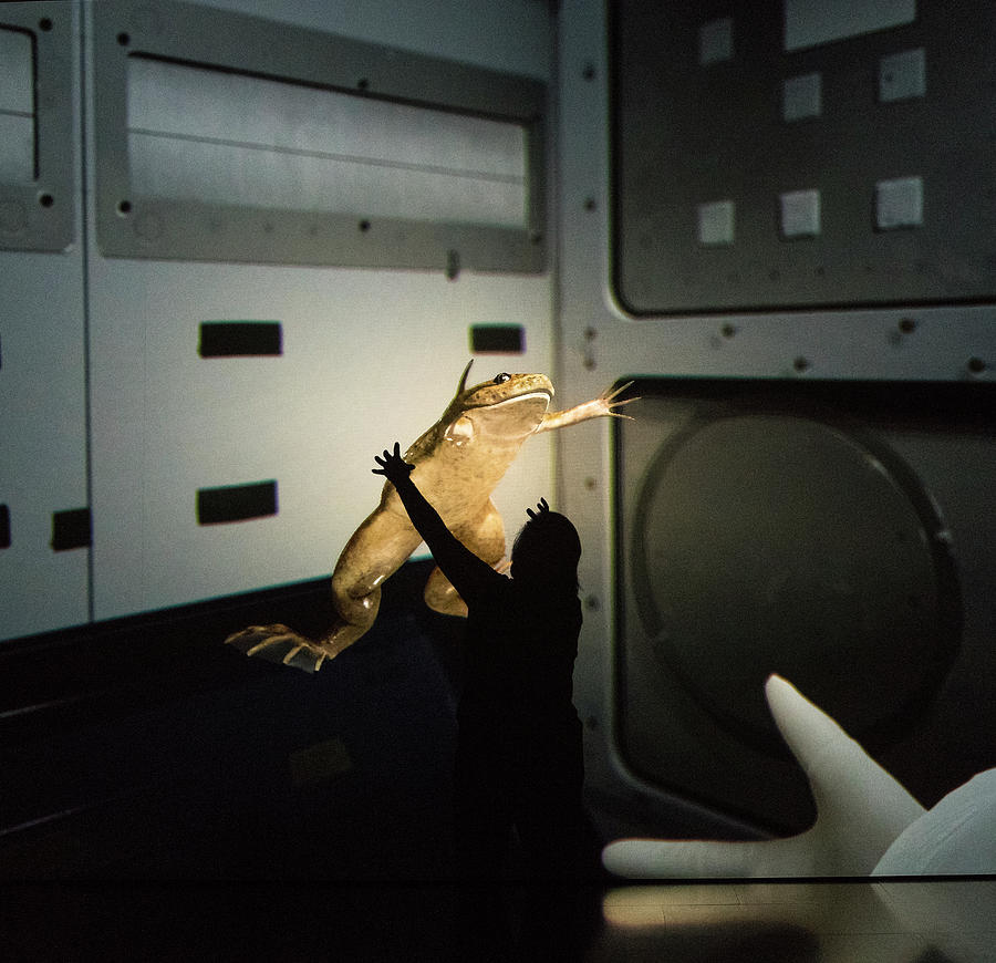 Rescue of the Space Frog Photograph by Alex Lapidus