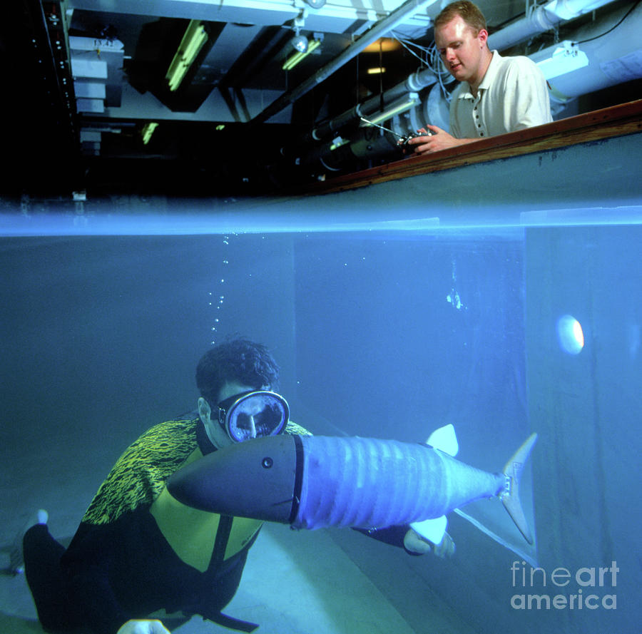 Researcher With The First Free-swimming Robot Fish Photograph by Sam Ogden/science Photo Library