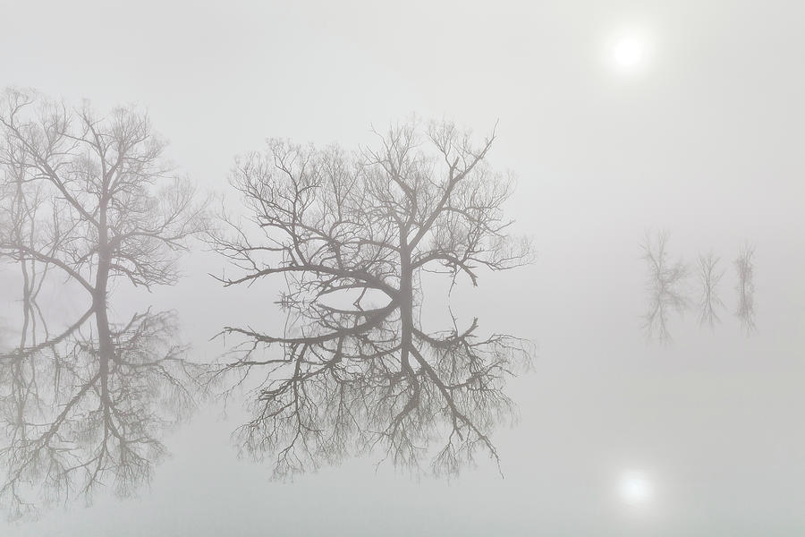 Reservoir Fog 2 Photograph