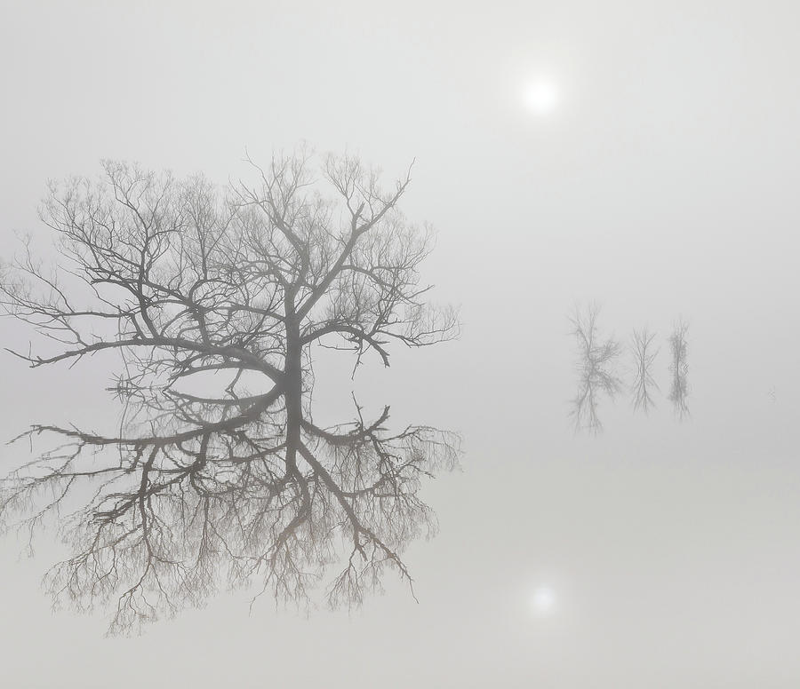 Reservoir Fog Photograph by Alan L Graham
