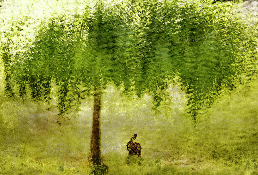 Rest A While by Linde Townsend Rest A While by Linde Townsend