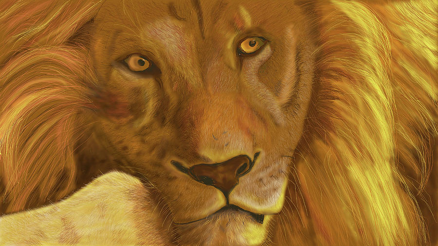 Restful Lion Drawing by Suanne Forster