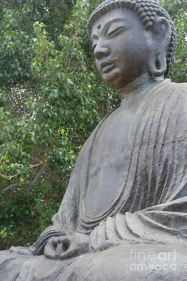 Resting Buddha by Wilko Van de Kamp Resting Buddha by Wilko Van de Kamp
