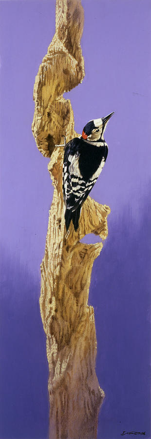 Woodpecker Painting - Resting by Joh Naito