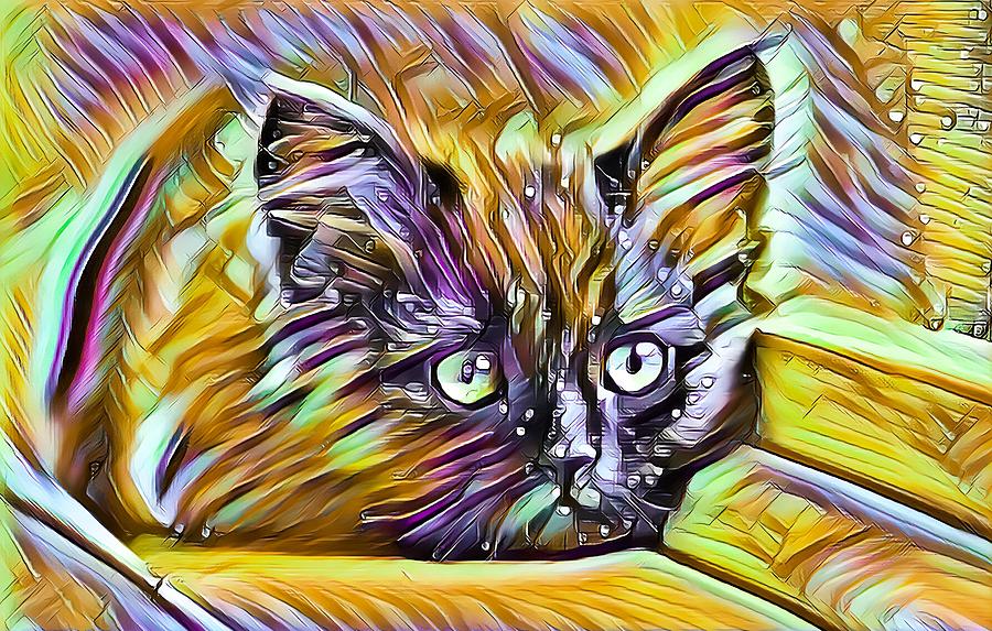 Resting Kitten Abstract Orange Digital Art by Don Northup
