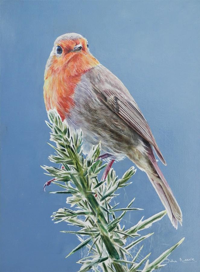 Robin on Thorns Painting by John Neeve