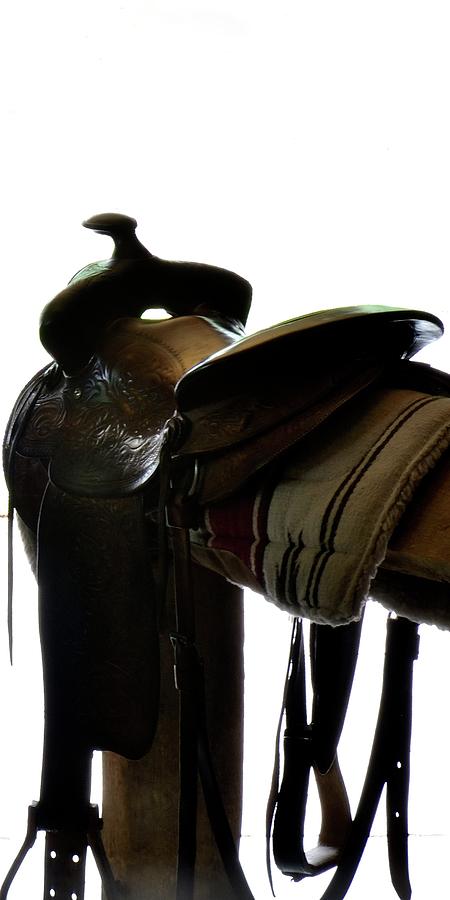 Resting Saddle Photograph by Jerry Sodorff
