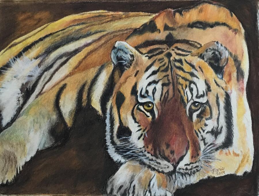 Resting Tiger Painting by Maris Sherwood