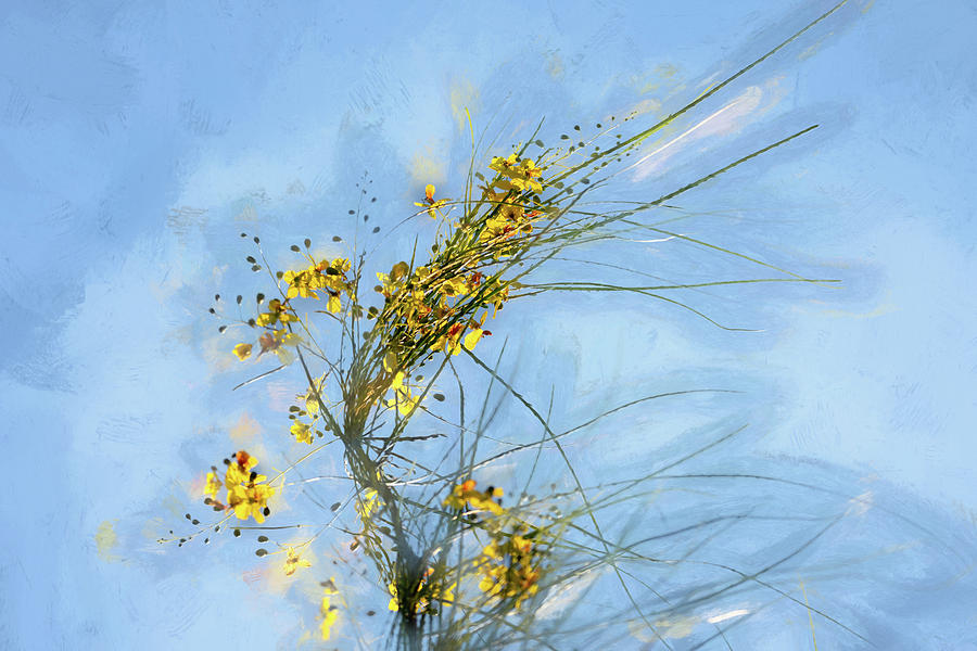 Flower Photograph - Retama in the Wind by Debra Martz