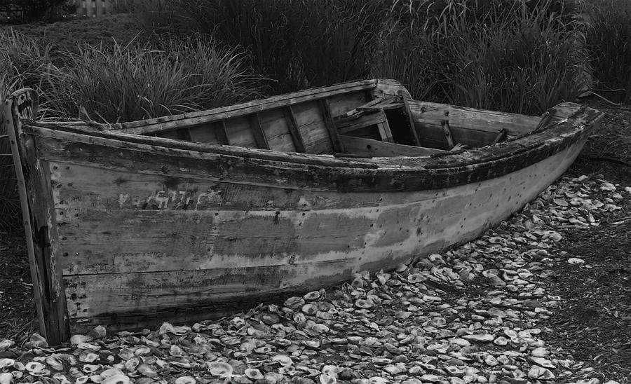 Duck Photograph - Retired Row Boat by Jeremy Guerin