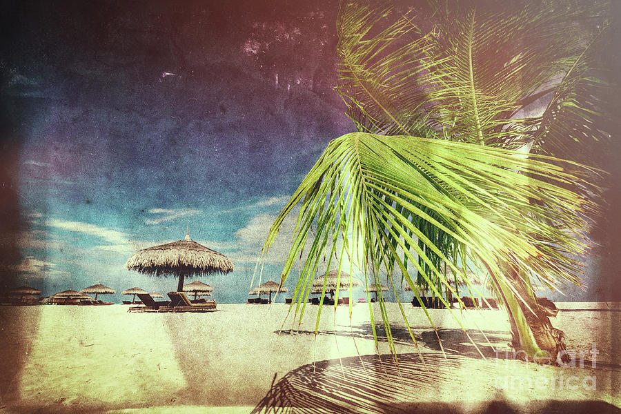 Vintage Photograph - Retro postcard with Maldivian beach by Michal Bednarek