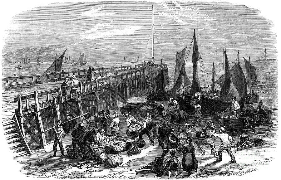 Return Of The Herring Boats, Yarmouth Drawing by Print Collector