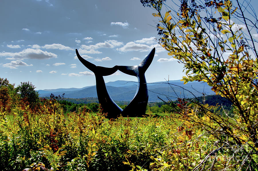 Reverence Whales Tails by Daniel Brinneman Reverence Whales Tails by Daniel Brinneman