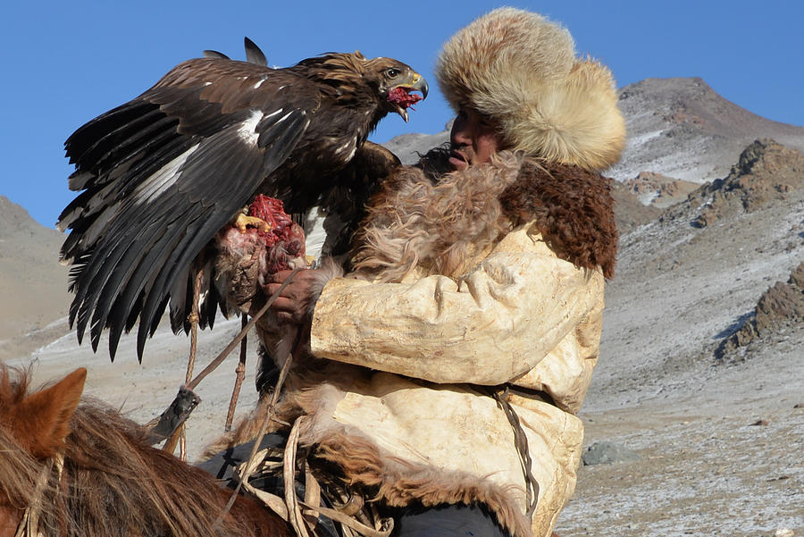 Golden Eagle Photograph - Reward by Myriam Leplat