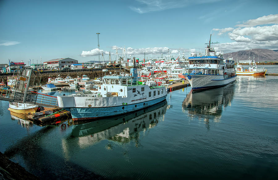 Reykjavik Harbor Photograph by Wade Aiken
