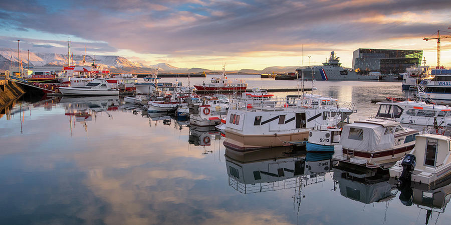 Reykjavik Old Harbor Boats Photograph by Jerry Fornarotto