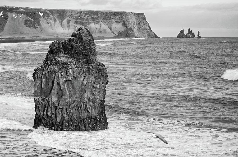 Reynisfjara Black Sand Beach and Reynisdrangar Sea Stacks Iceland Black and White Photograph by Shawn OBrien