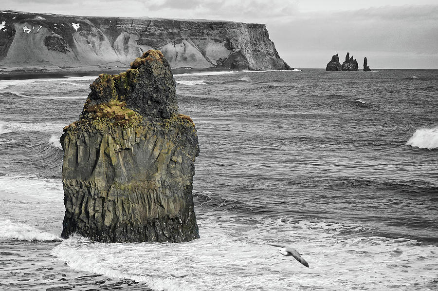 Reynisfjara Black Sand Beach and Reynisdrangar Sea Stacks Iceland Color Splash Digital Art by Shawn OBrien