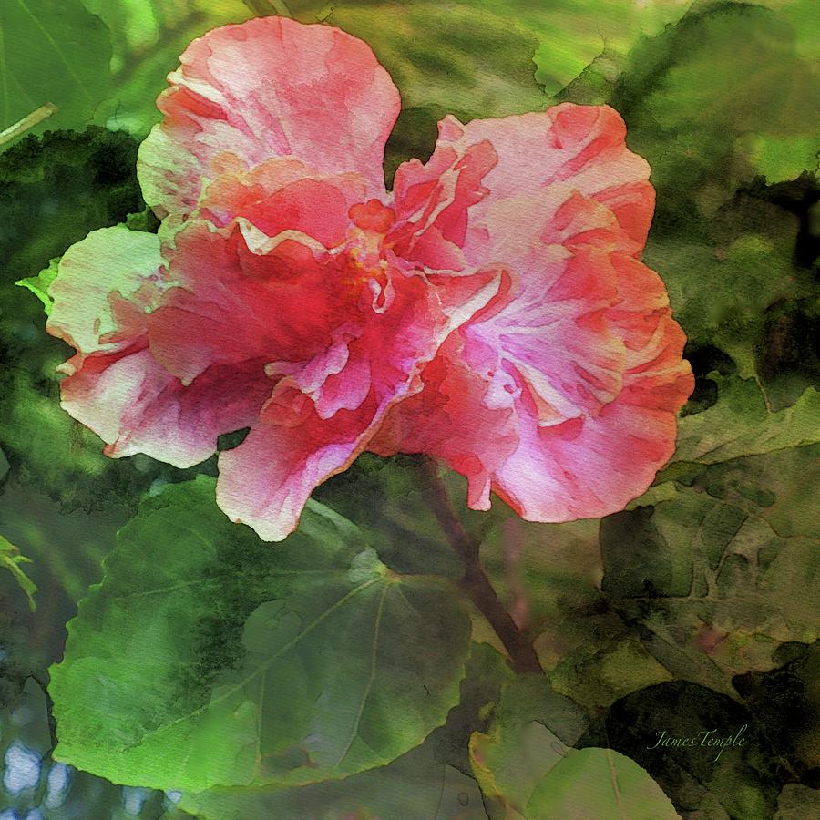 Rhapsody Digital Art - Rhapsody by James Temple Rhapsody Digital Art - Rhapsody by James Temple