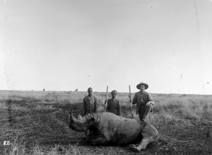 Rhino Hunt Photograph by A. Bayley-worthington