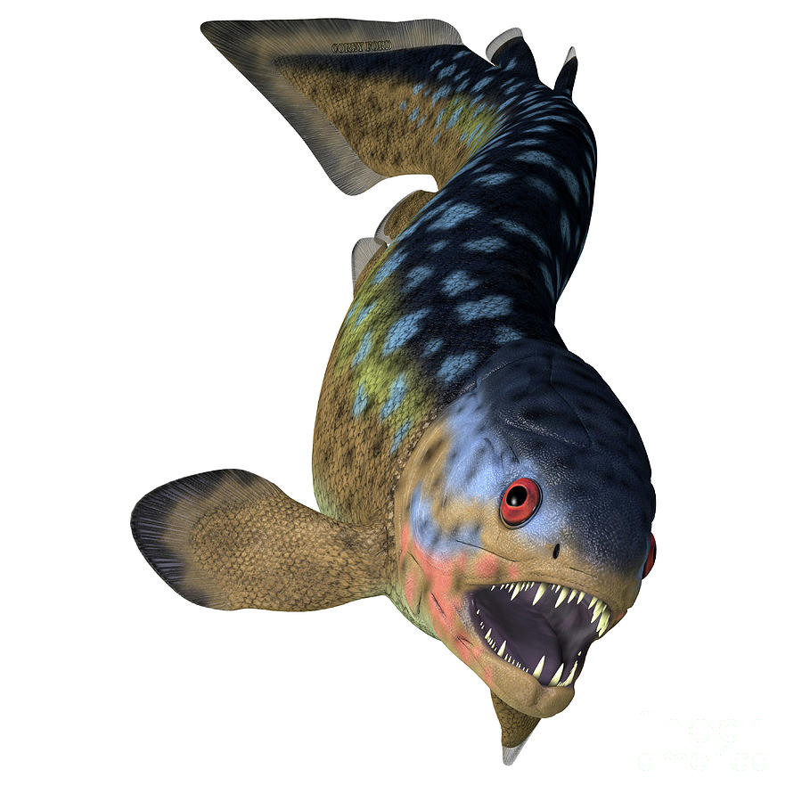 Rhizodus Fish Teeth Digital Art by Corey Ford