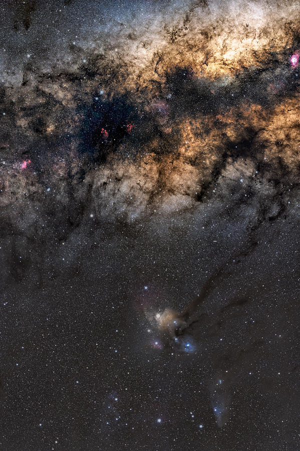 Rho Ophiuchi And Antares Region Photograph by James Zhen Yu