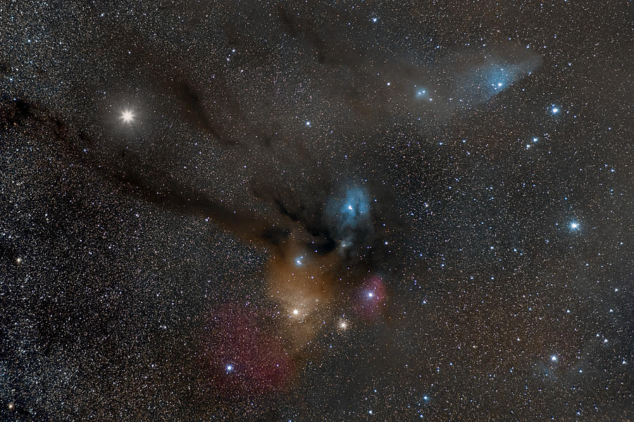 Astro Photograph - Rho Ophiuchi Nebula by Massimo Tamajo