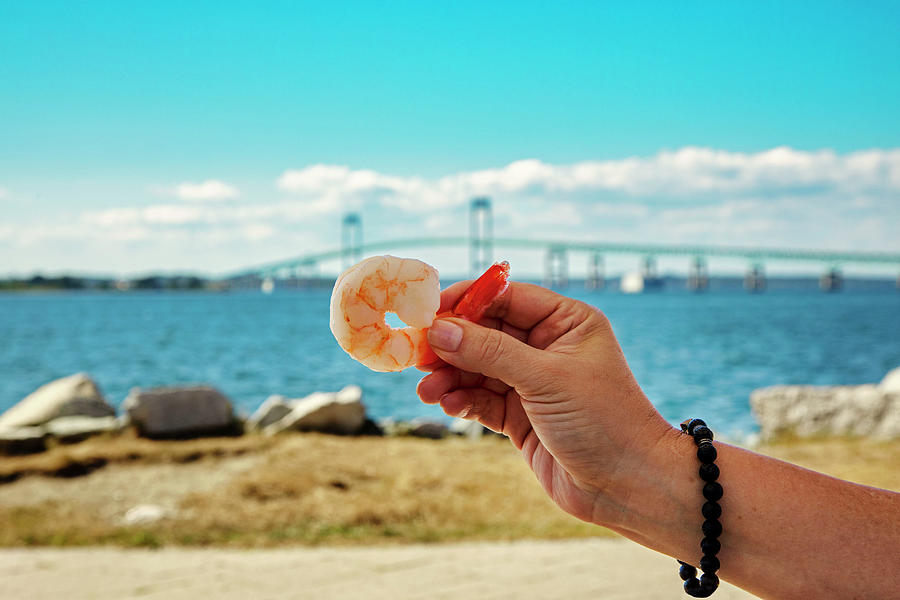 Rhode Island, Newport, Seafood At The Bowens Wharf With Claiborne Pell Bridge In The Background Digital Art by Lumiere