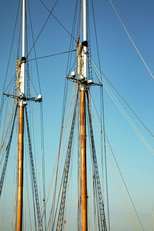 Rhode Island, Newport, Ships Masts At Harbor Island Marina Digital Art by Lumiere