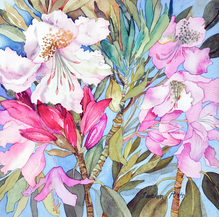 Flower Painting - Rhododendron I by Sharon Pitts