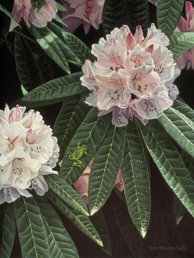 Rhododendron Painting by Ron Parker