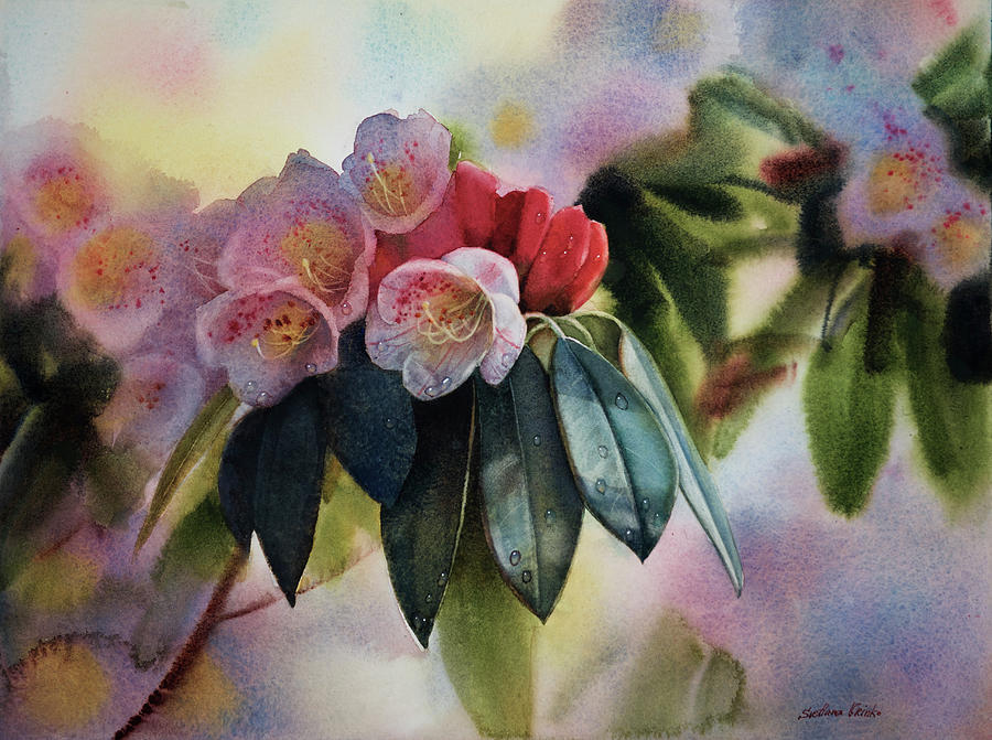 Flower  - Rhododendron by Svetlana Orinko