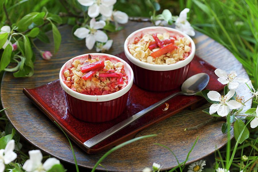 Rhubarb Crumble In Baking Dishes On A Summer Meadow Photograph by Boguslaw Bialy