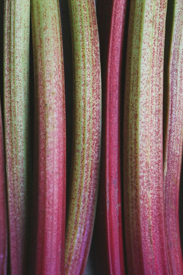 Rhubarb Stalks section Photograph by Tanya Balianytsia