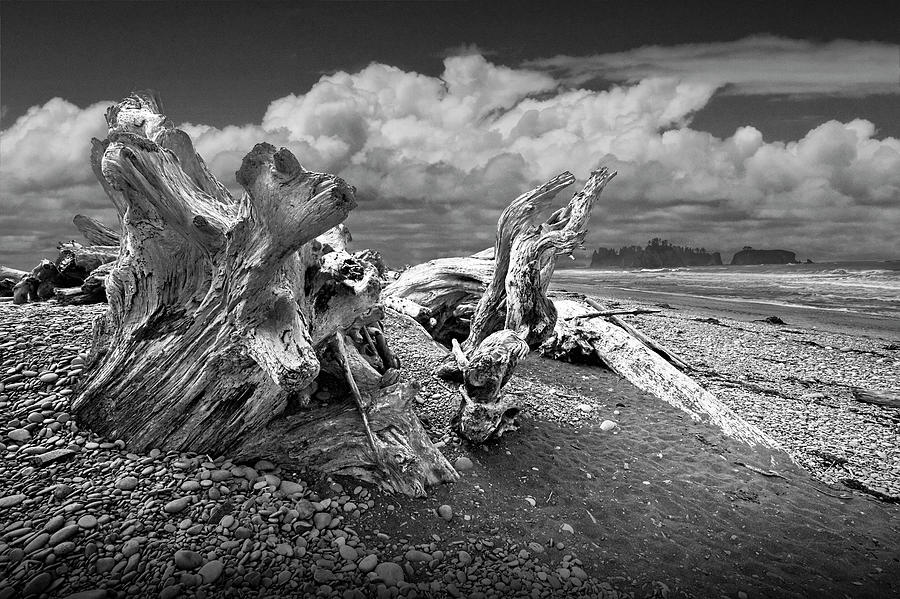 Rialto Beach in Olympic National Park in Washington State with Shore ...