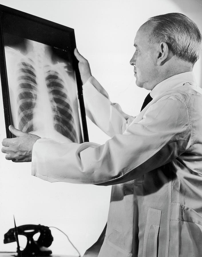 Rib Cage Photograph by Fpg Rib Cage Photograph by Fpg