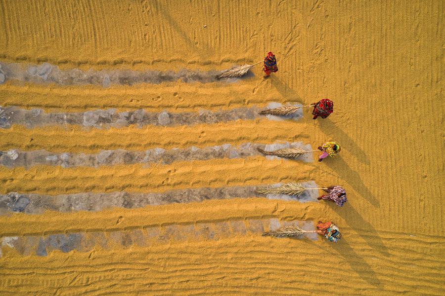 Farm Photograph - Rice Drying by Azim Khan Ronnie