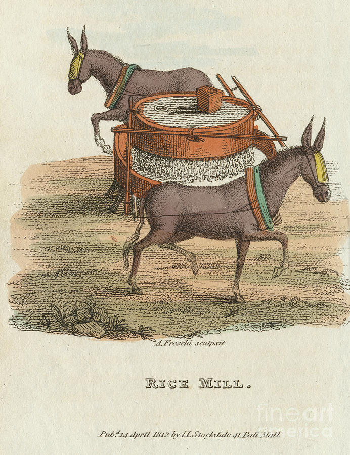 Rice Mill, 1813. Artist Anon Drawing by Print Collector