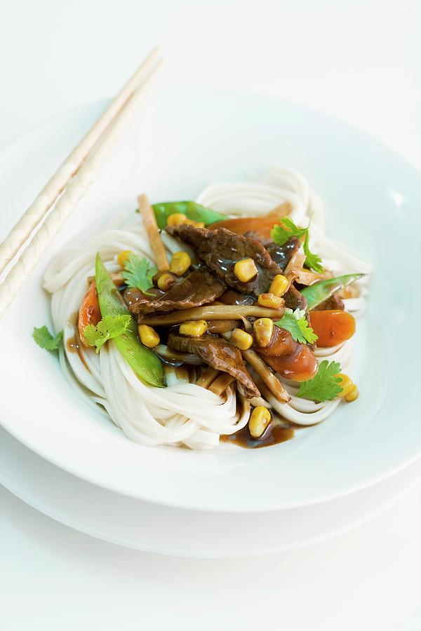 Rice Noodles With Beef Photograph by Michael Wissing | Fine Art America