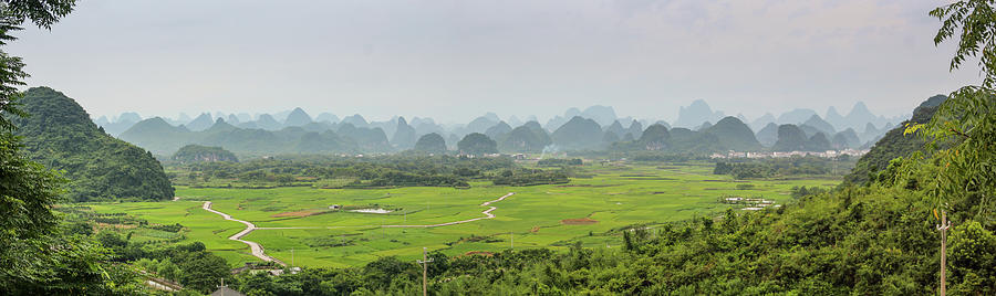 Rice Paddies Near Guilin Photograph by Melanie Davis - Fine Art America