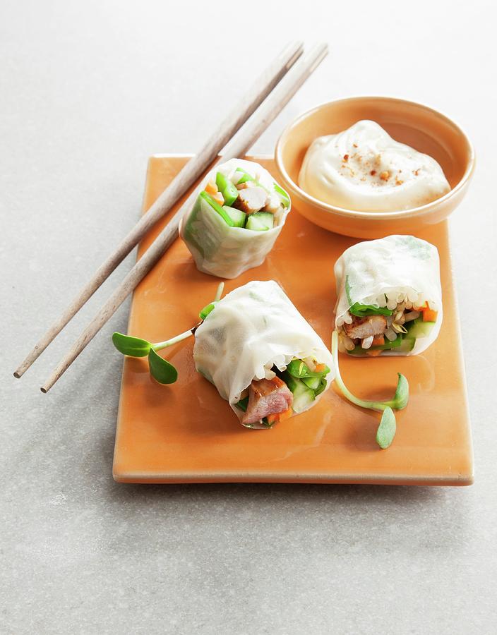Rice Paper Rolls With Chicken And A Dip Photograph by Danny Lerner