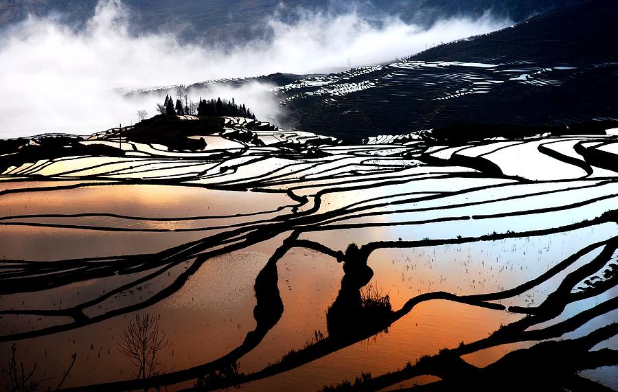 Rice Terrace ,china Photograph by Raymond Liu , Hong Kong
