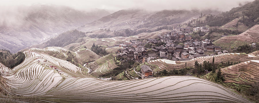 Rural Scene Photograph - Rice Terraces 1 by Moises Levy
