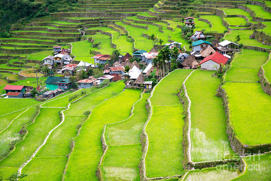 rice-terraces-in-the-philippines-photograph-by-frolova-elena-fine-art