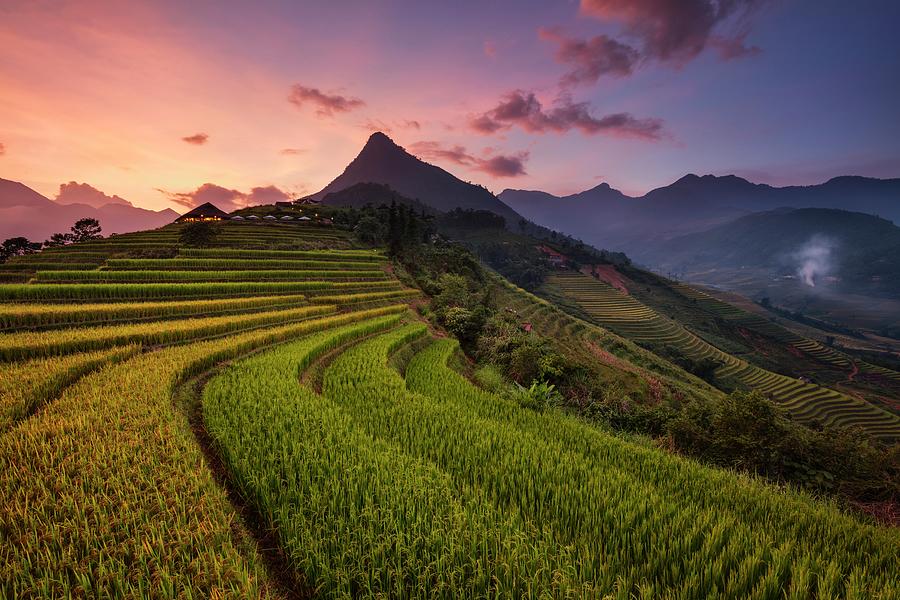 Image Digital Art - Rice Terraces, L?o Cai, Vietnam by Michael Breitung