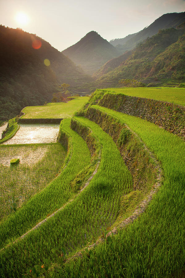 Rice Terraces Photograph by Sean White / Design Pics