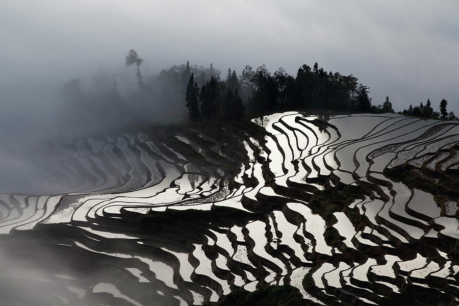 Rice Terraces, Yunnan, China Digital Art by Andrea Pozzi