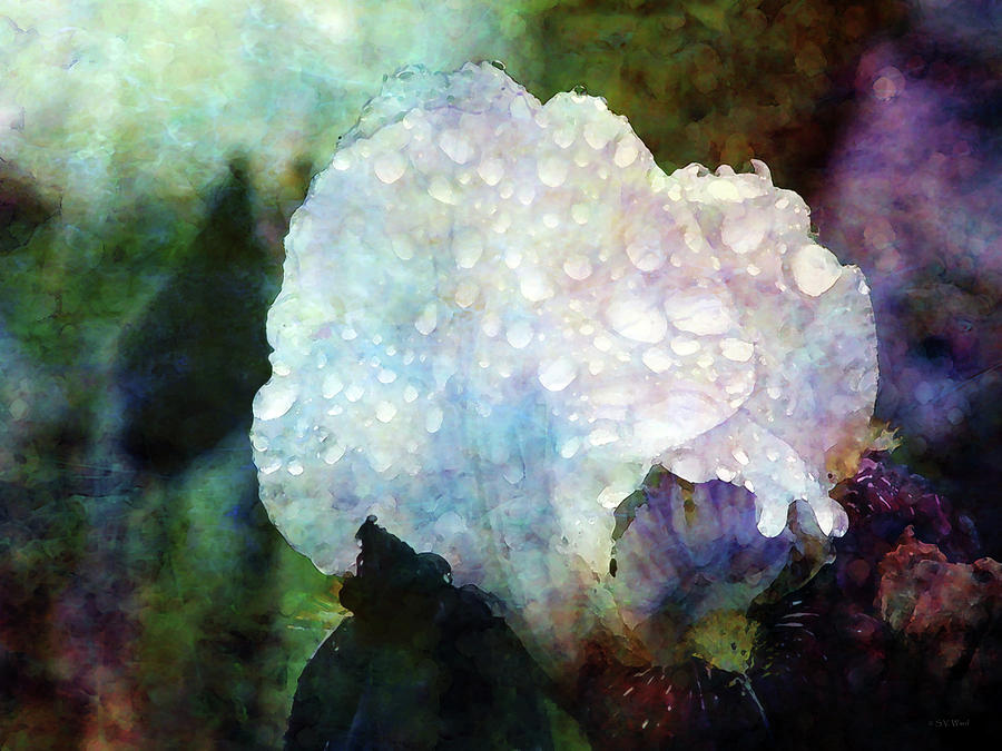 Rich Jewels 6913 IDP_2 by Steven Ward Rich Jewels 6913 IDP_2 by Steven Ward