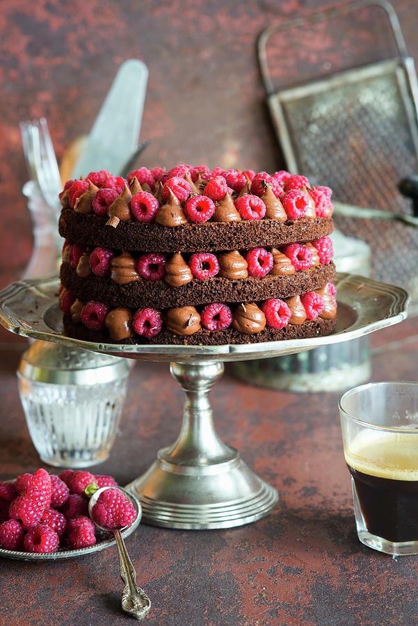 Rich Moist Chocolate Cake With Whipped Chocolate Ganache And Raspberries, Open Layers Photograph by Irina Meliukh