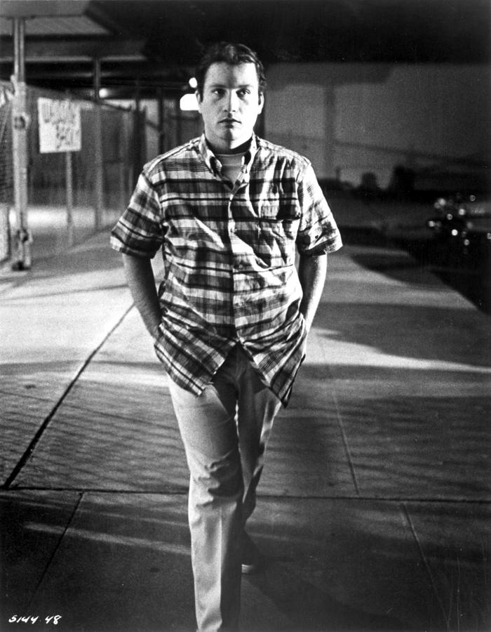 Richard Dreyfuss Photograph - Richard Dreyfuss by Movie Star News